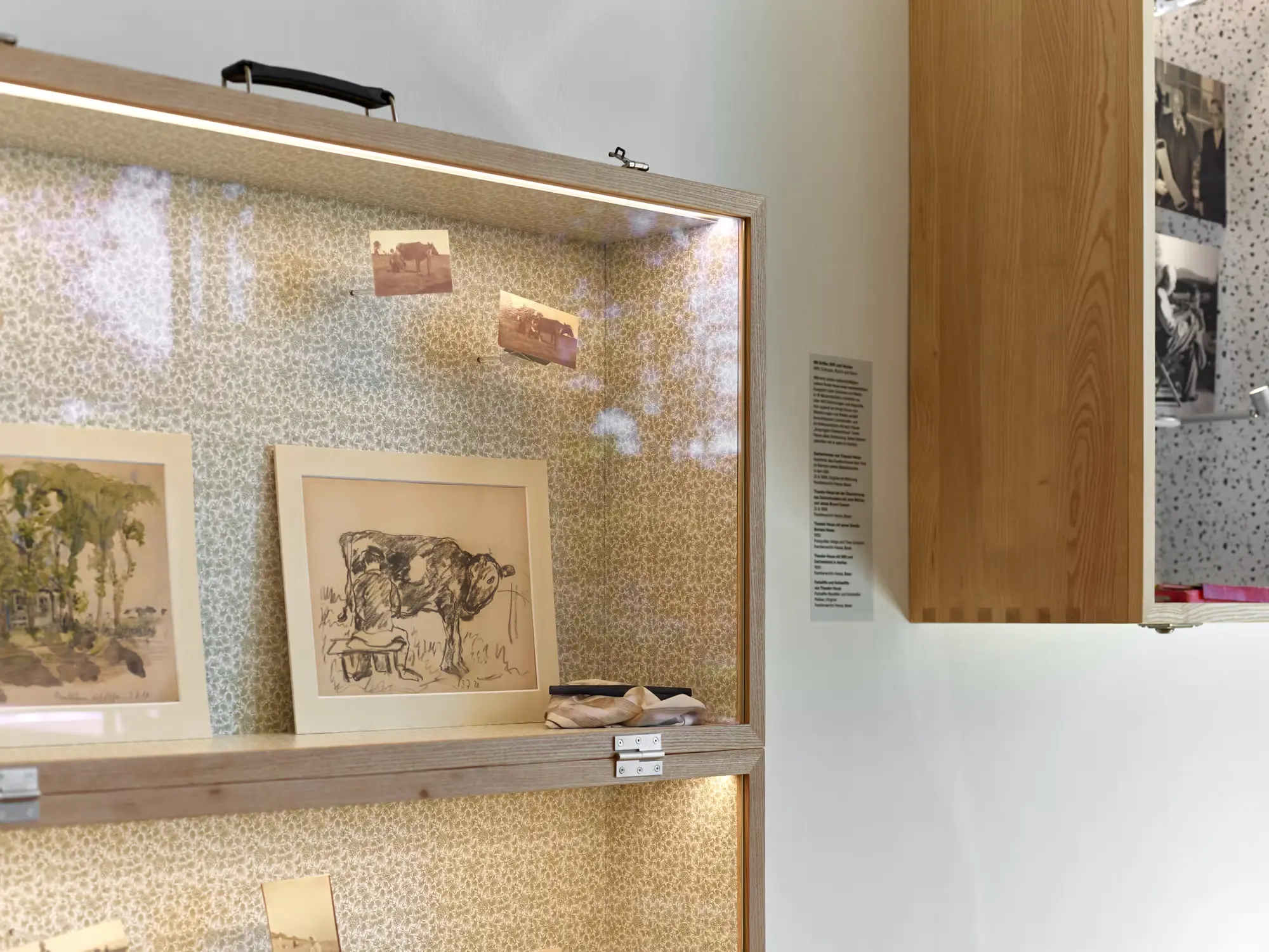 Blick auf eine Vitrine mit Zeichnungen