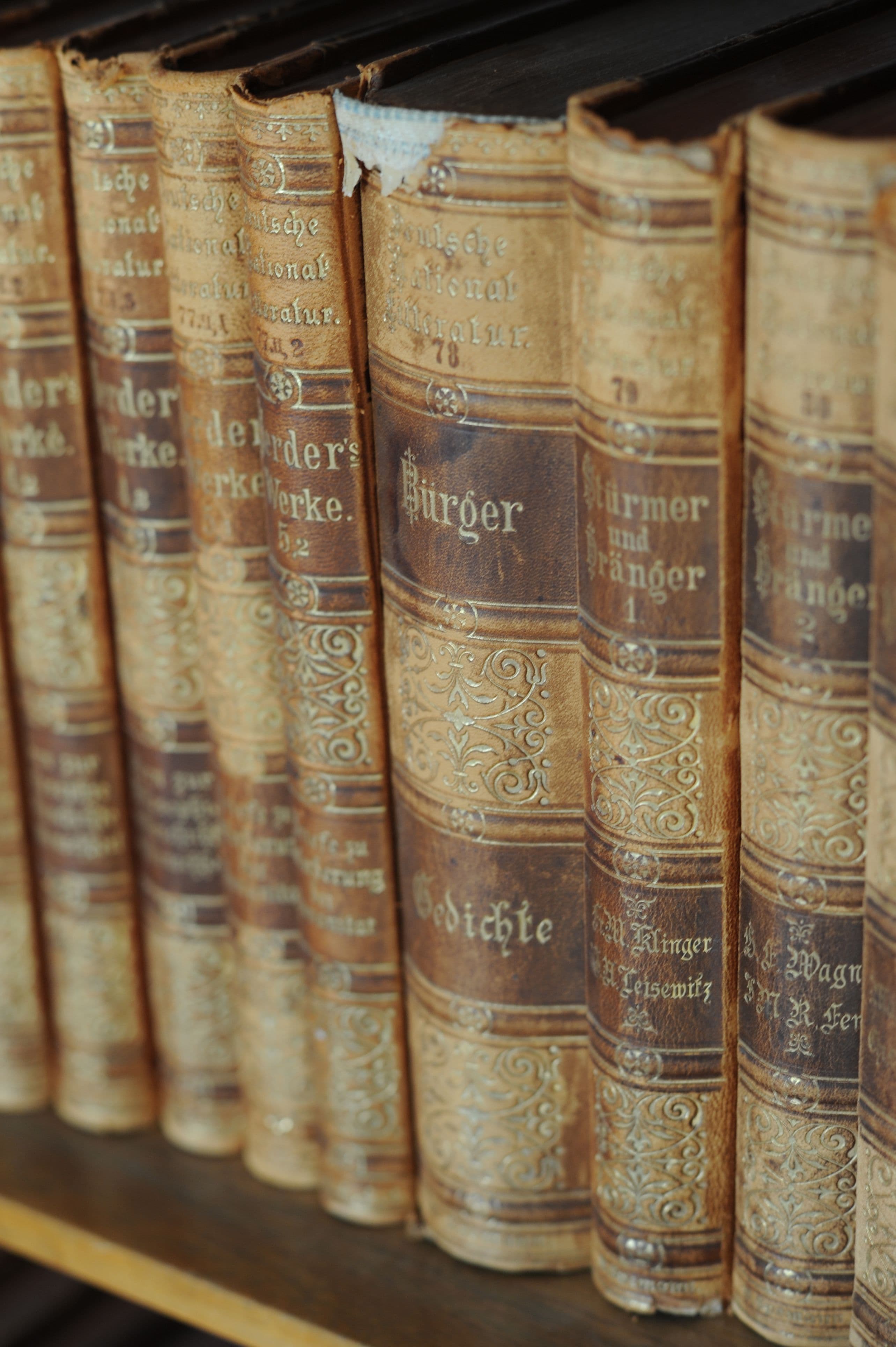 Nahaufnahme einer Reihe historischer Buchrücken in einem Regal mit goldenen Ornamenten und Titeln wie „Stürmer und Dränger“ sowie „Goethes Werke“.